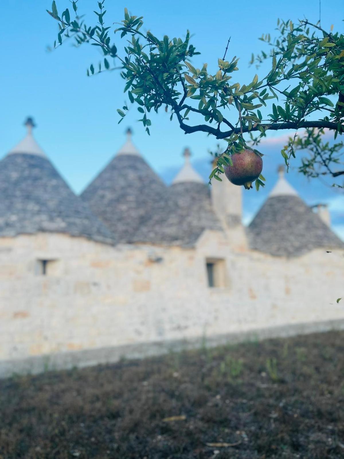 Scardino Trulli Locorotondo Exterior foto